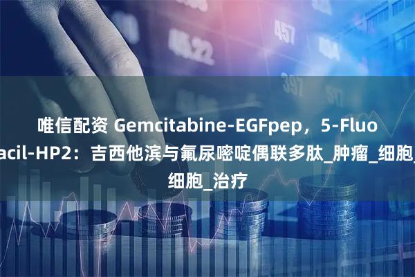 唯信配资 Gemcitabine-EGFpep，5-Fluorouracil-HP2：吉西他滨与氟尿嘧啶偶联多肽_肿瘤_细胞_治疗
